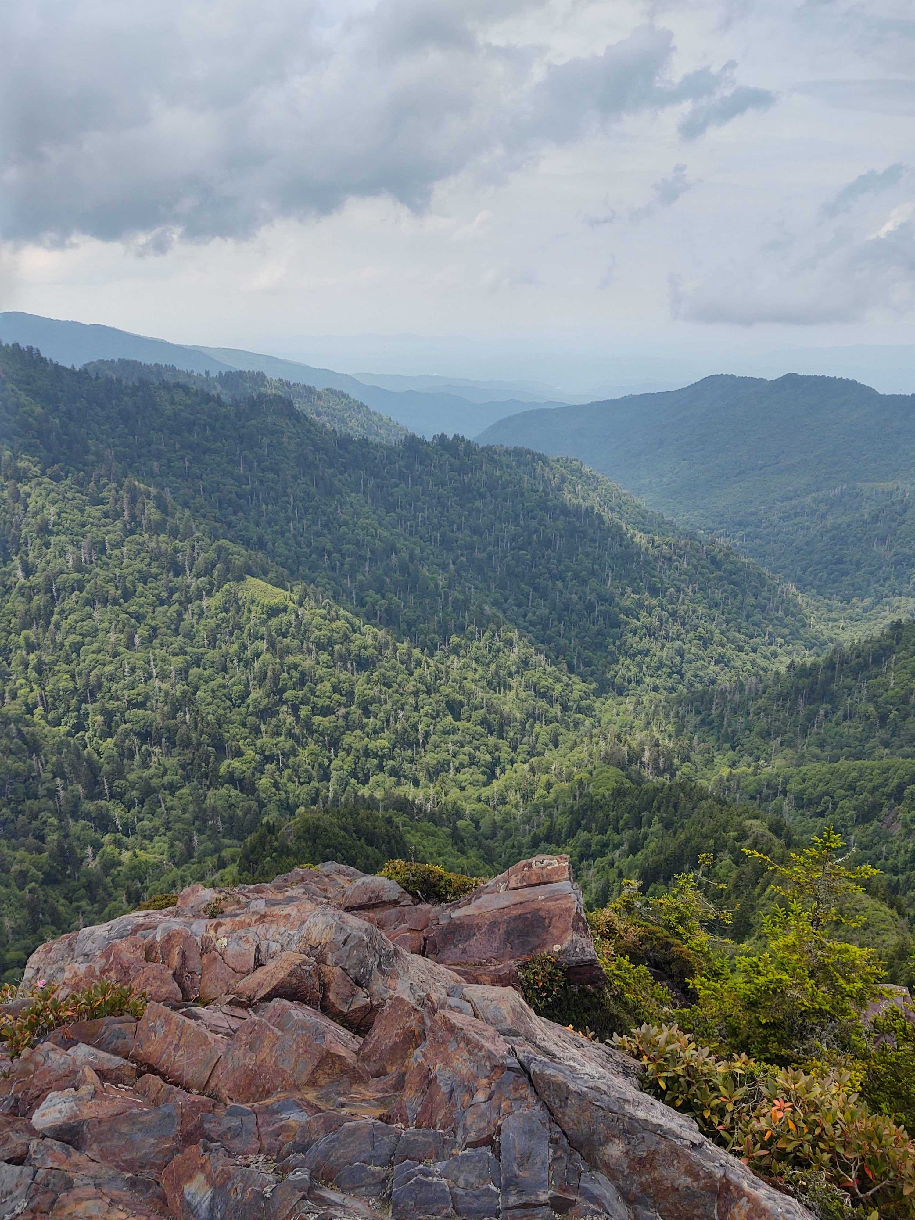 Hiking in the Smokies