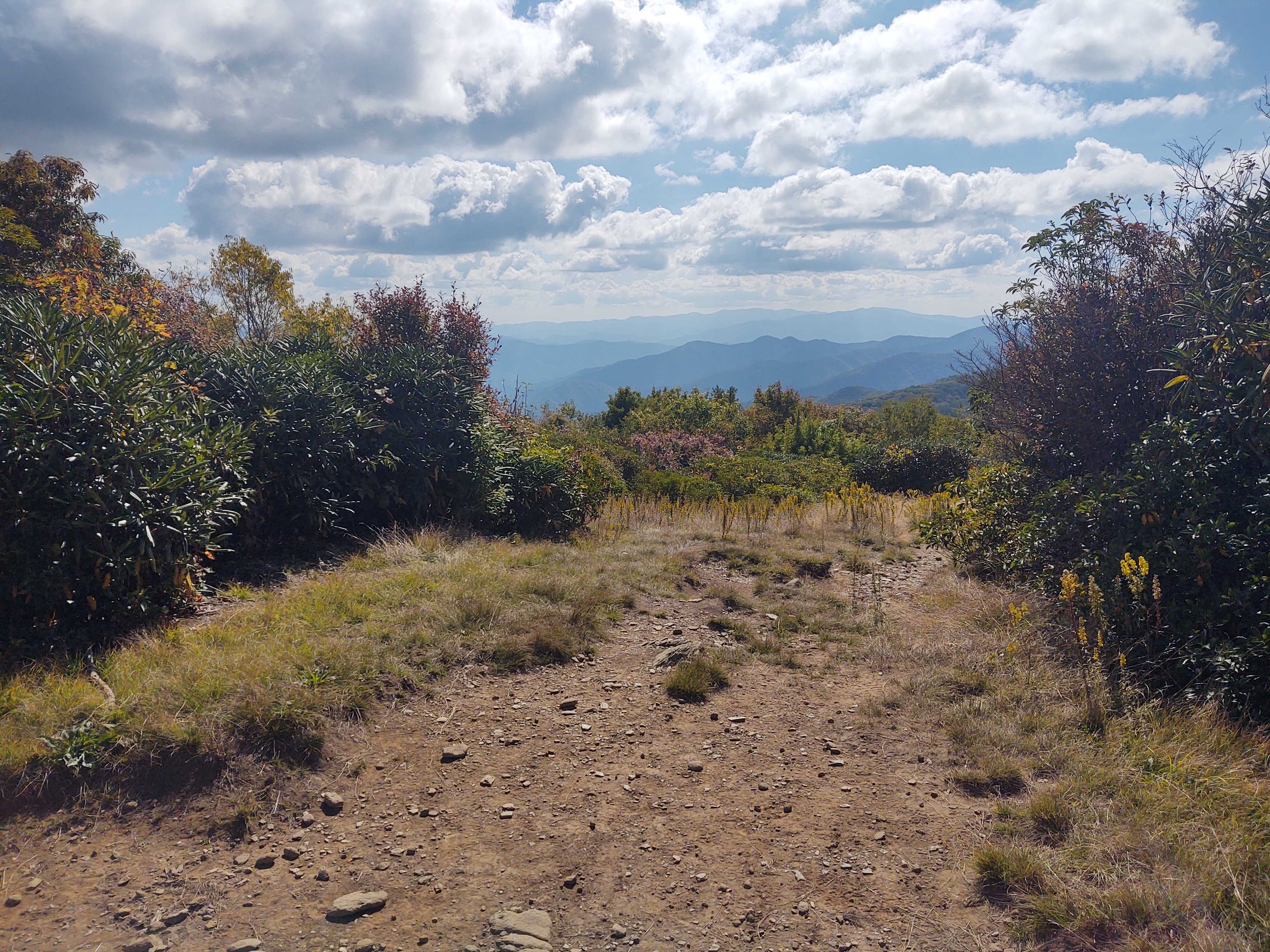 Hiking in the Smokies